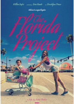 Проектът Флорида
